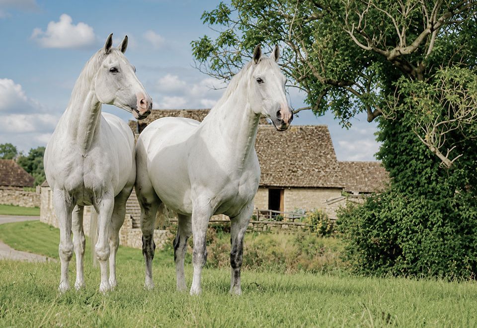 Perfection Spa Building